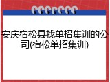 安庆宿松县找单招集训的公司(宿松单招集训)