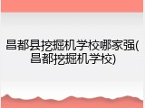 昌都县挖掘机学校哪家强(昌都挖掘机学校)