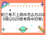初三考不上高中怎么办2020级(2020级考高中对策)