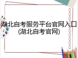 湖北自考服务平台官网入口(湖北自考官网)