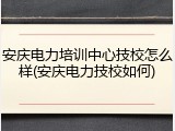 安庆电力培训中心技校怎么样(安庆电力技校如何)