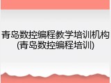青岛数控编程教学培训机构(青岛数控编程培训)