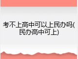 考不上高中可以上民办吗(民办高中可上)