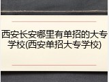 西安长安哪里有单招的大专学校(西安单招大专学校)
