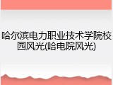 哈尔滨电力职业技术学院校园风光(哈电院风光)