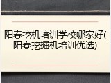 阳春挖机培训学校哪家好(阳春挖掘机培训优选)