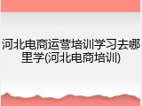 河北电商运营培训学习去哪里学(河北电商培训)