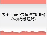 考不上高中去体校有用吗(体校有前途吗)