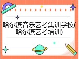 哈尔滨音乐艺考集训学校(哈尔滨艺考培训)