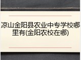 凉山金阳县农业中专学校哪里有(金阳农校在哪)