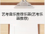 艺考音乐推荐乐器(艺考乐器推荐)