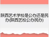 陕西艺术学校是公办还是民办(陕西艺校公办民办)