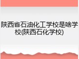 陕西省石油化工学校是啥学校(陕西石化学校)