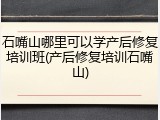 石嘴山哪里可以学产后修复培训班(产后修复培训石嘴山)