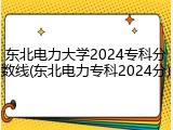 东北电力大学2024专科分数线(东北电力专科2024分)