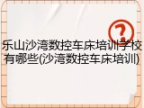 乐山沙湾数控车床培训学校有哪些(沙湾数控车床培训)