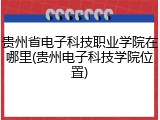 贵州省电子科技职业学院在哪里(贵州电子科技学院位置)