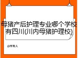 母猪产后护理专业哪个学校有四川(川内母猪护理校)