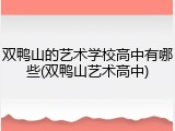 双鸭山的艺术学校高中有哪些(双鸭山艺术高中)