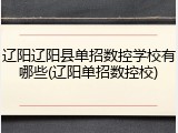 辽阳辽阳县单招数控学校有哪些(辽阳单招数控校)
