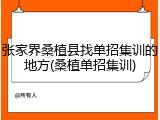 张家界桑植县找单招集训的地方(桑植单招集训)