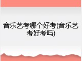 音乐艺考哪个好考(音乐艺考好考吗)