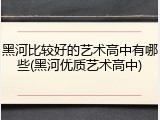 黑河比较好的艺术高中有哪些(黑河优质艺术高中)