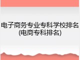 电子商务专业专科学校排名(电商专科排名)