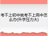 考不上初中就考不上高中怎么办(升学压力大)