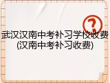 武汉汉南中考补习学校收费(汉南中考补习收费)