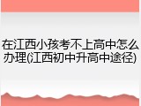 在江西小孩考不上高中怎么办理(江西初中升高中途径)