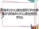 阿鲁科尔沁旗挖掘机学校哪家好(阿鲁科尔沁旗挖掘机学校)