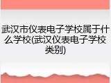 武汉市仪表电子学校属于什么学校(武汉仪表电子学校类别)