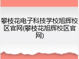 攀枝花电子科技学校旭辉校区官网(攀枝花旭辉校区官网)