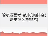 哈尔滨艺考培训机构排名(哈尔滨艺考排名)