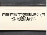 白银在哪学挖掘机培训(白银挖掘机培训)