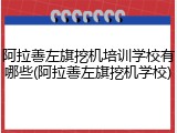 阿拉善左旗挖机培训学校有哪些(阿拉善左旗挖机学校)