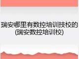 瑞安哪里有数控培训技校的(瑞安数控培训校)