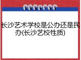 长沙艺术学校是公办还是民办(长沙艺校性质)