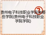 贵州电子科技职业学院有哪些学院(贵州电子科技职业学院学院)