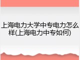 上海电力大学中专电力怎么样(上海电力中专如何)