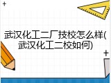 武汉化工二厂技校怎么样(武汉化工二校如何)