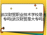 武汉财贸职业技术学校是大专吗(武汉财贸是大专吗)