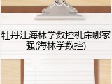 牡丹江海林学数控机床哪家强(海林学数控)