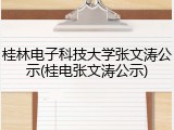 桂林电子科技大学张文涛公示(桂电张文涛公示)