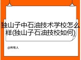 独山子中石油技术学校怎么样(独山子石油技校如何)