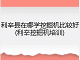 利辛县在哪学挖掘机比较好(利辛挖掘机培训)