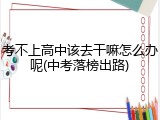 考不上高中该去干嘛怎么办呢(中考落榜出路)