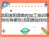 洛阳宜阳县数控加工培训班技校有哪些(洛阳数控技校)