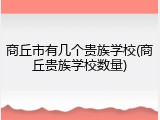 商丘市有几个贵族学校(商丘贵族学校数量)